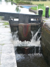 You set your own agenda